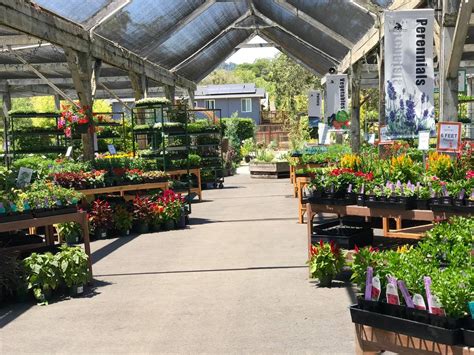 The staff were helpful, friendly, and incredibly knowledgeable. . Sloat garden center